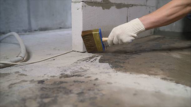 24/7 Emergency Basement Waterproofing experts in Echola, AL